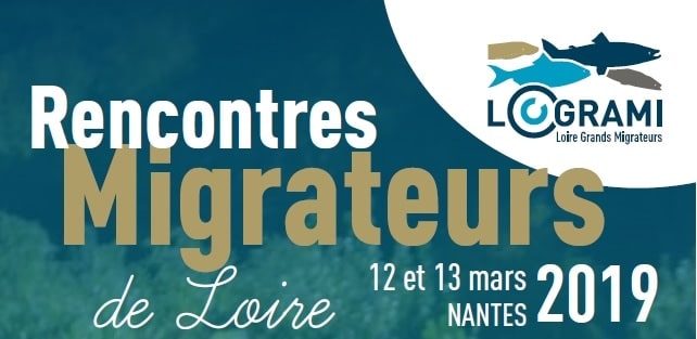 Rencontre Migrateurs de Loire 2019 : du 12 au 13 mars